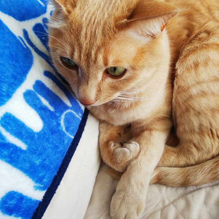 9baae0ea 3cfd 43be a4d6 4ecc7e767ef0 1678504814756