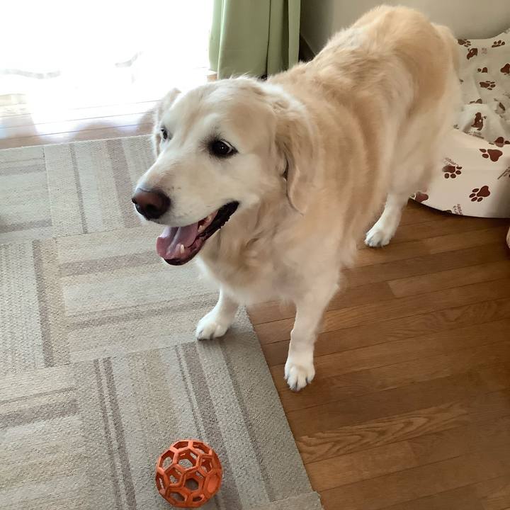 9bab0899 e6d6 4d0e 9010 5d6ad72eb32a 1597788156199