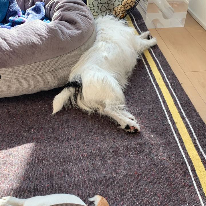 9bab08e0 0e19 4bb7 91c7 a4966aa7c03c 1612931659825