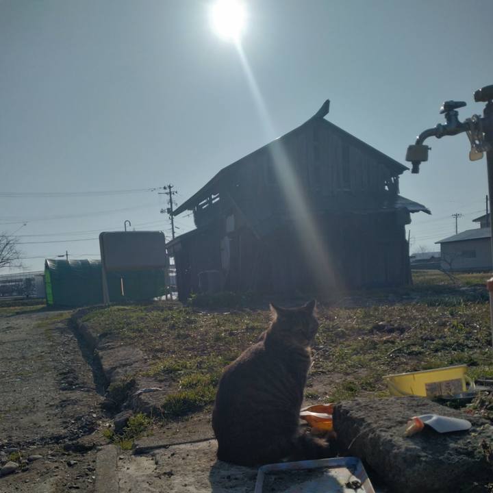 9bab258e 9854 49e2 8eb4 0873c1edf4bb 1680476504174