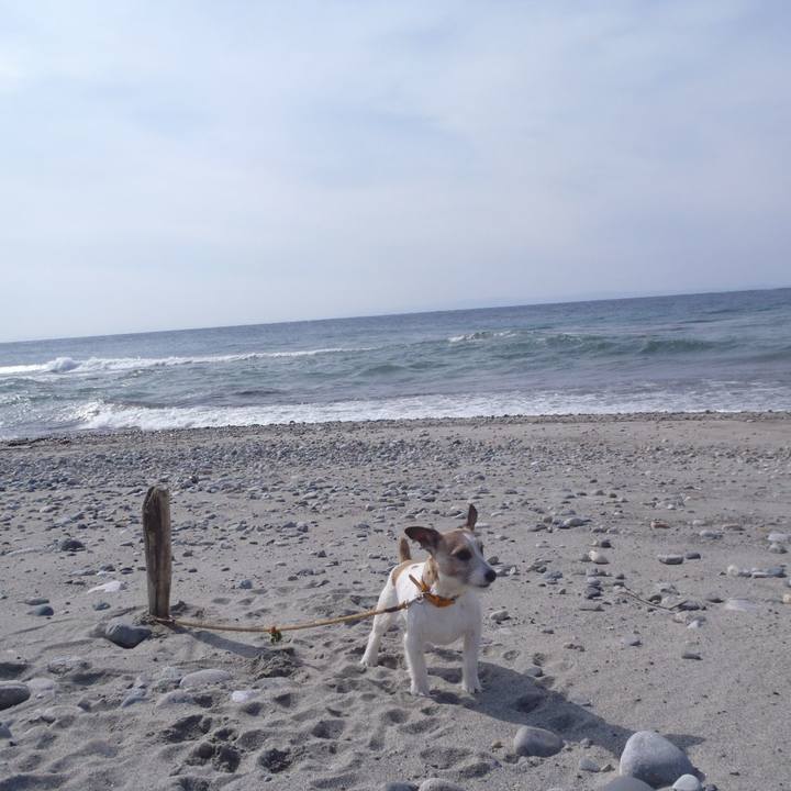 9bab8efc cedb 4539 b466 4590e74ad2e1 1520410109504