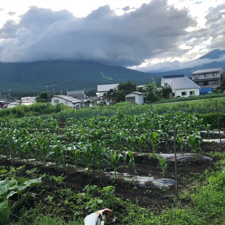 9babadf1 9f3b 48d9 9982 df2ce8666837 1530355537722