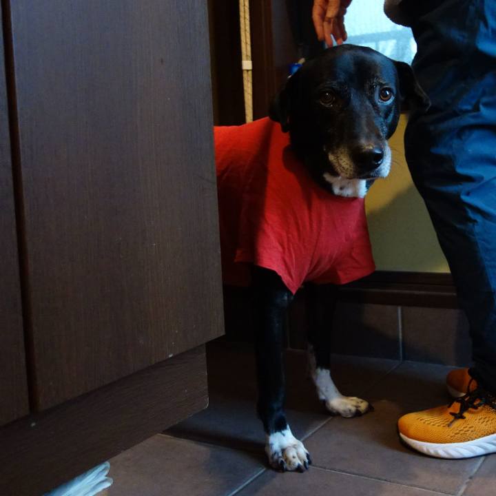 9babf3f9 039b 453a 8bd4 eb3c9ec5076f 1735260963123