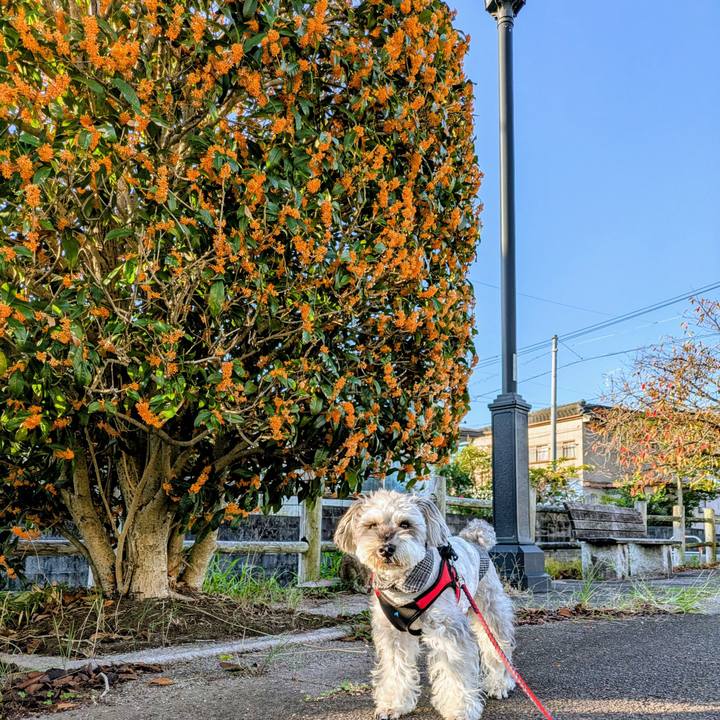 9babf612 3a50 41bc b8b8 bc4fb720efab 1762387591030