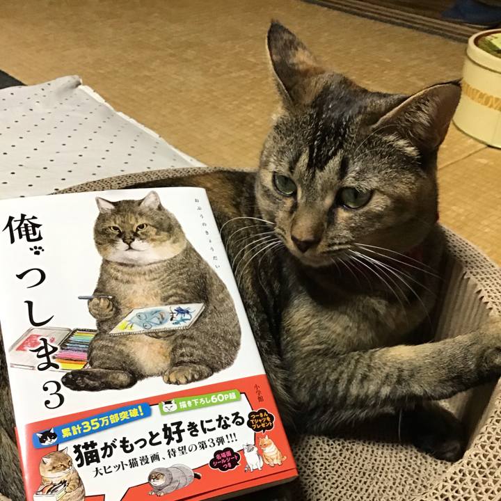 9bac18ad 354c 4724 a19a 85ca059dd037 1603535608053