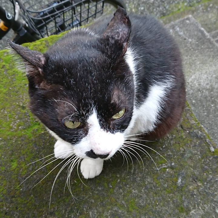 9bac47a7 7cf9 4634 af62 970e14c34960 1566630369068