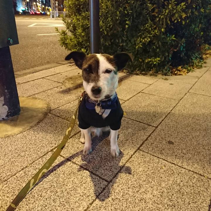 9bac8797 faf2 470f 9d4b d109698a5bb4 1513687377425