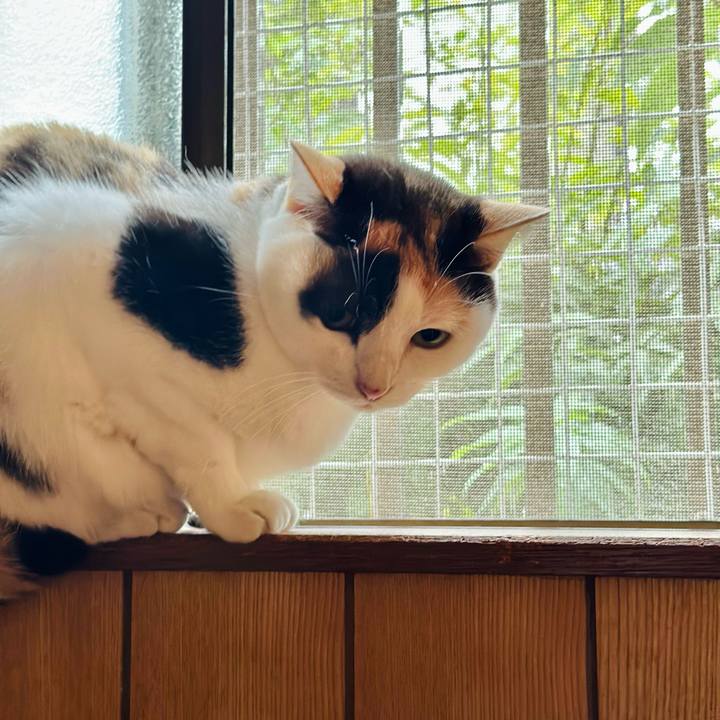 9bacaf59 5063 460b a582 54f5f39bde2d 1666233318249