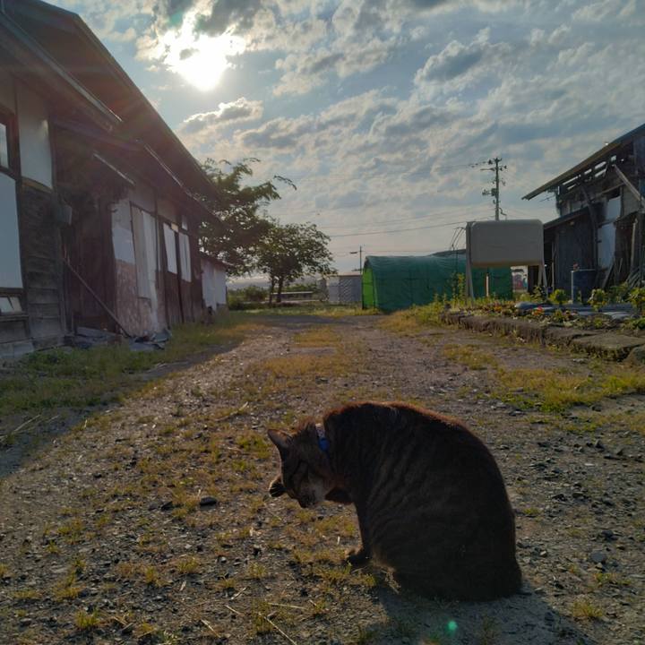 9bacbc58 27eb 4ba1 8303 bcc5c0d39b7c 1686002064898