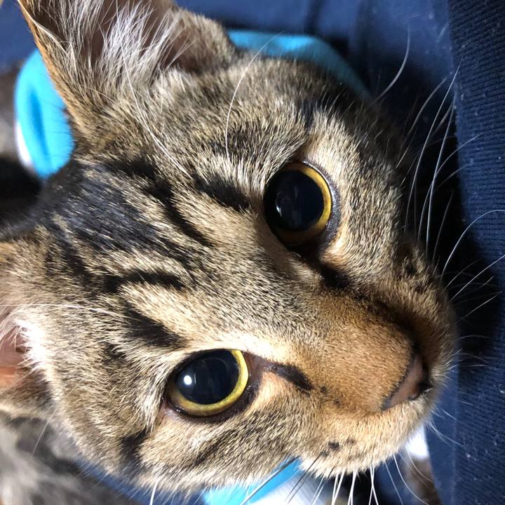 9bacffdf 9fac 49ba 9208 63c2f9b9a4b3 1736846792235