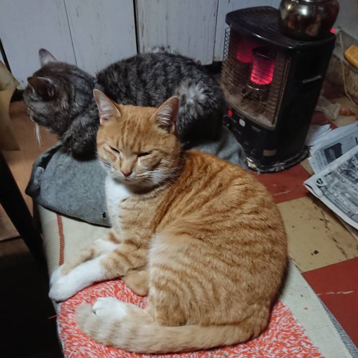 9bad437f bd6a 4f16 ba66 1a06ba78d0d5 1577698909066