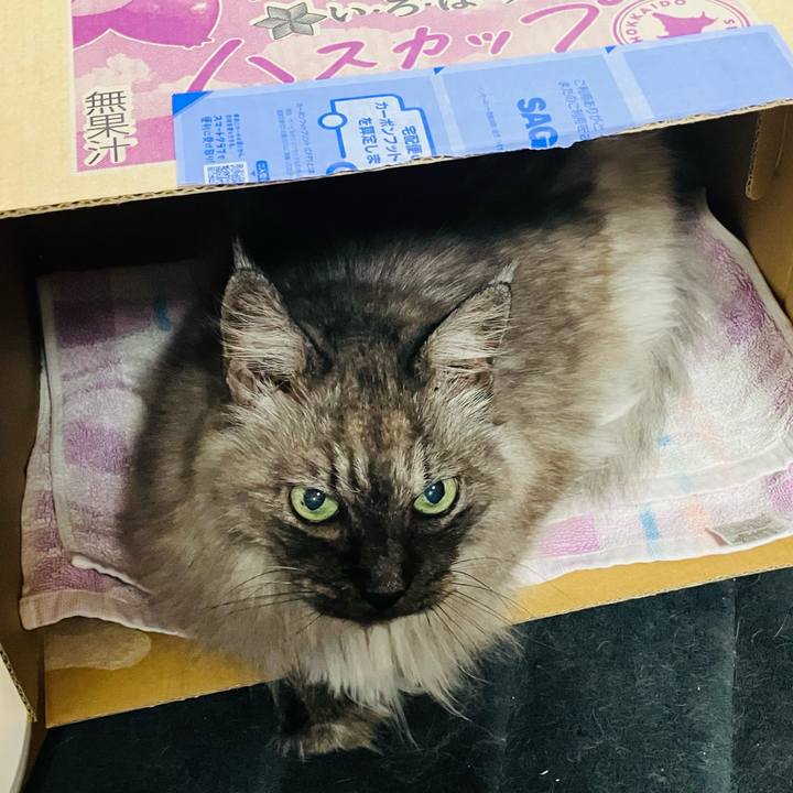 9bad694c ee06 4117 9bbe 279c1f546273 1751588552091