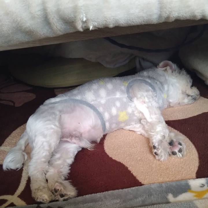 9bad89c3 fb97 4f45 9218 8fab2e8c8b4e 1734702331453