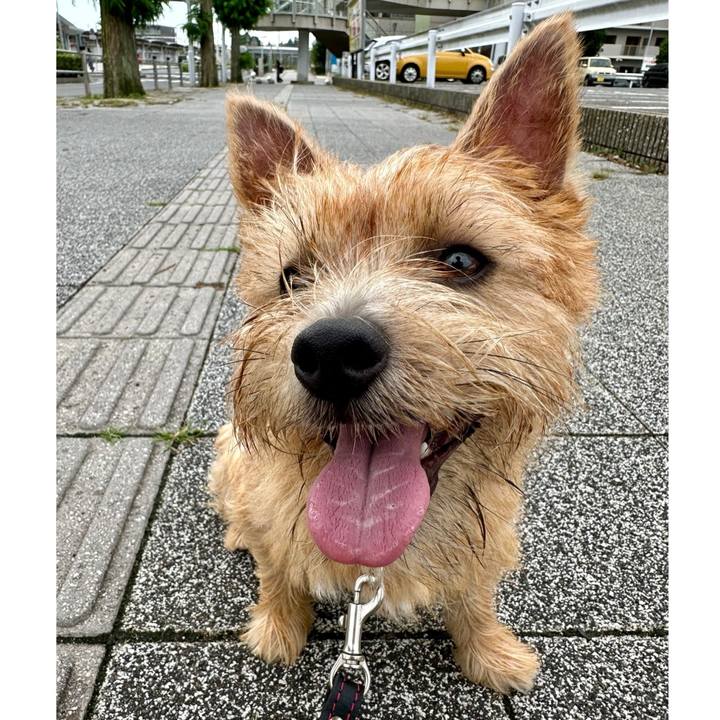 9badd24b d712 4e8c b919 c8080de6c139 1726928546886