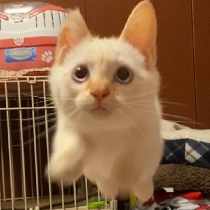 9bae267a 3c73 4ea5 a6c3 0d6b75dc9c9b 1575303788295