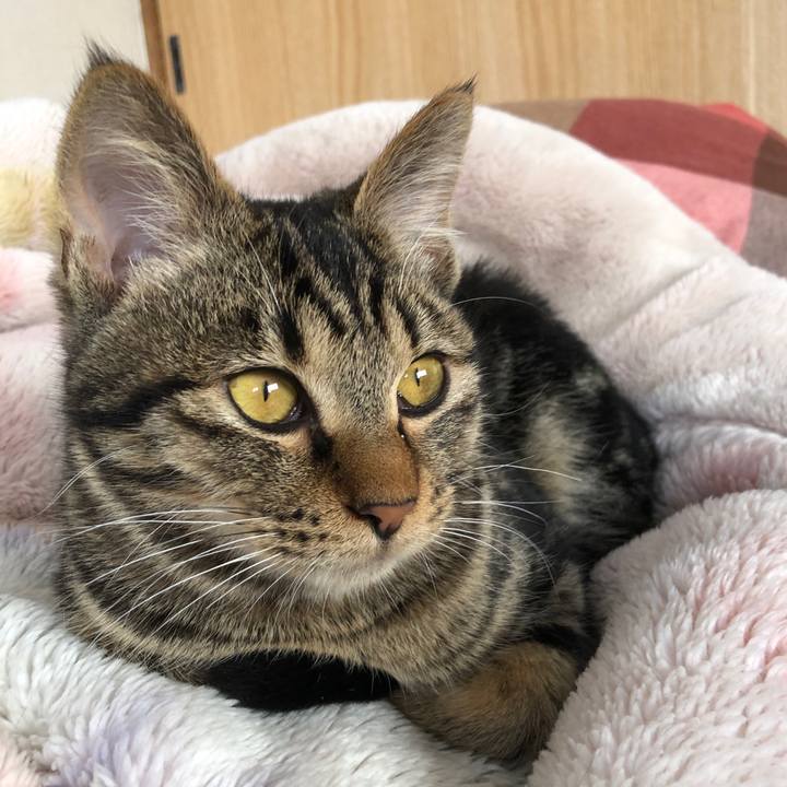 9bae389b ca8c 4e2d 88ac d5a5c34d953a 1735531324097