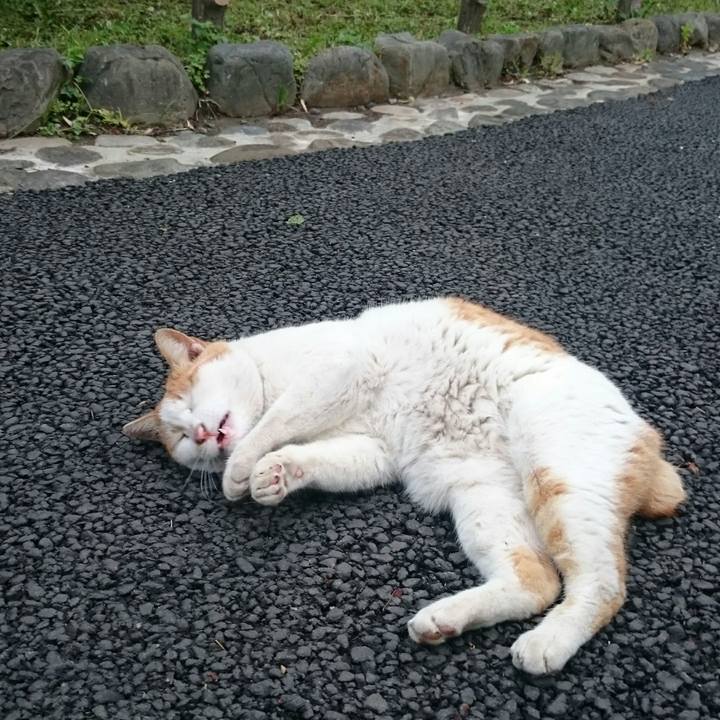 9bae9744 4370 4bc9 908e 062f849ea4e9 1524645958205