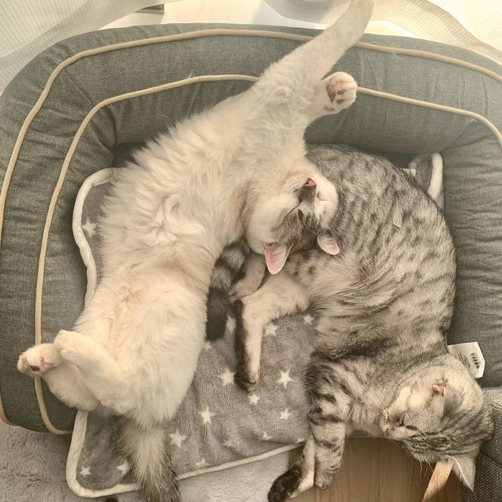 9baeca88 504d 40c2 899c c958dc00bf7a 1667351372533