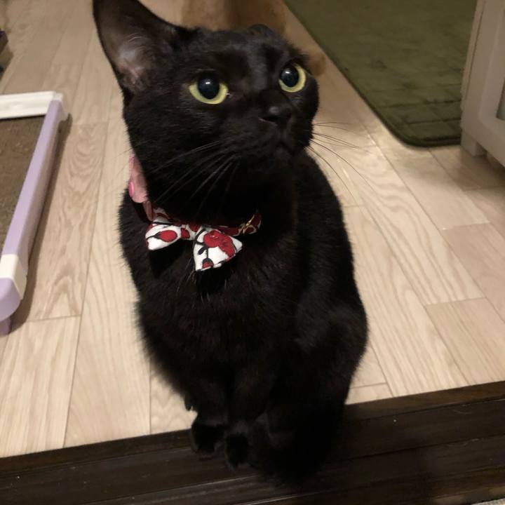 9baf147b 26bd 43a6 8eb1 3ec94f87b626 1570017471582