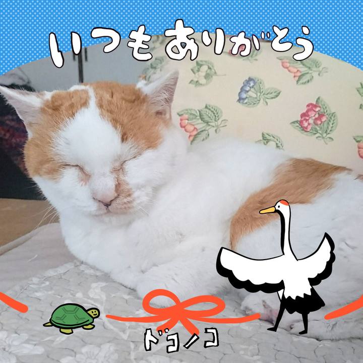 9baf238e cb4a 4266 9ffd a4fd9807296d 1726882432418