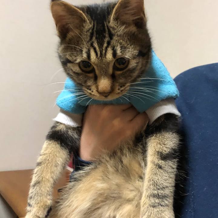 9bafa046 f21e 4f23 92b5 76044e2c4c81 1736600752594