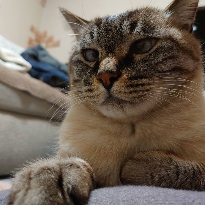 9bafb4ff a34f 451f 8263 3ed5d37a2276 1610100283816