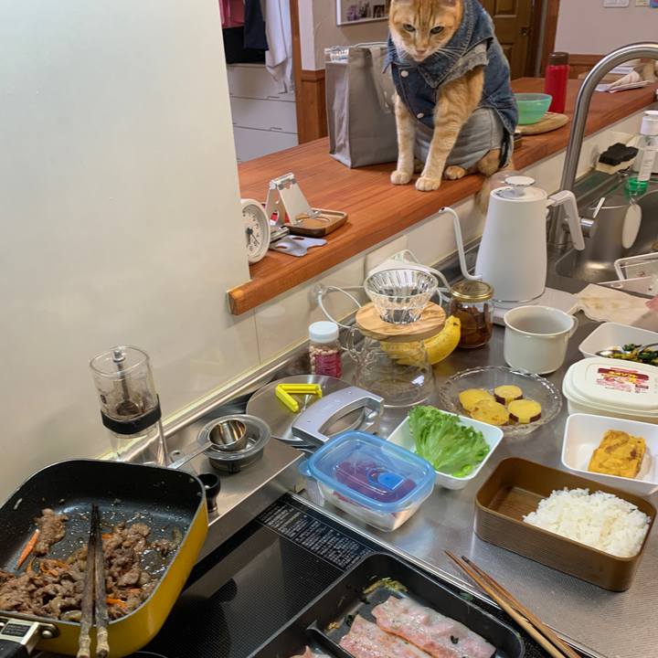 9bafd1d5 15d1 49aa 8732 7032800fda00 1655241828600