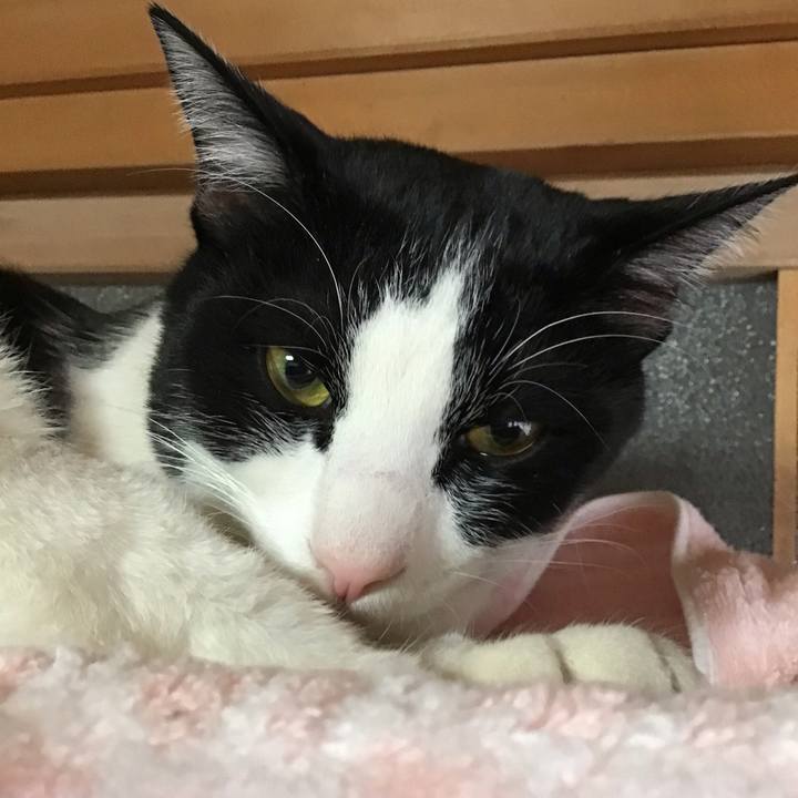 9baff46c 5008 486c 91bf 30d5bc1a84c5 1646694685384