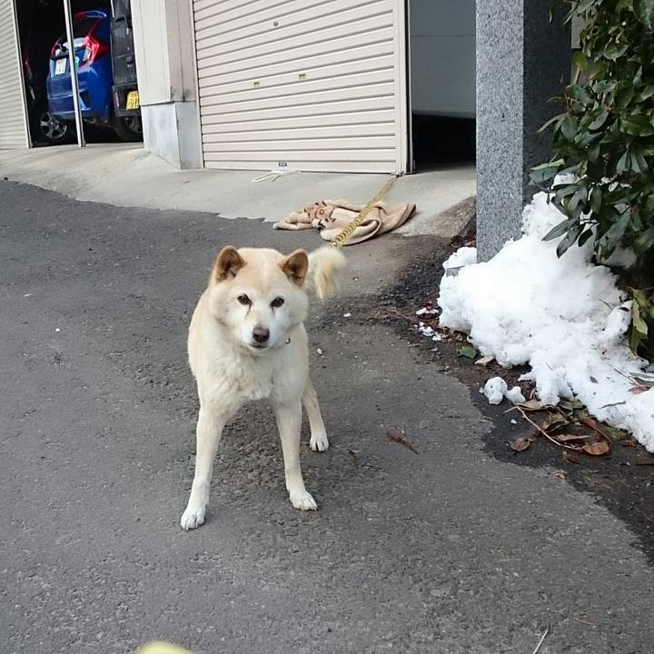 9baffe9b 37b6 4ee6 9789 7d79672f88b0 1518680319668