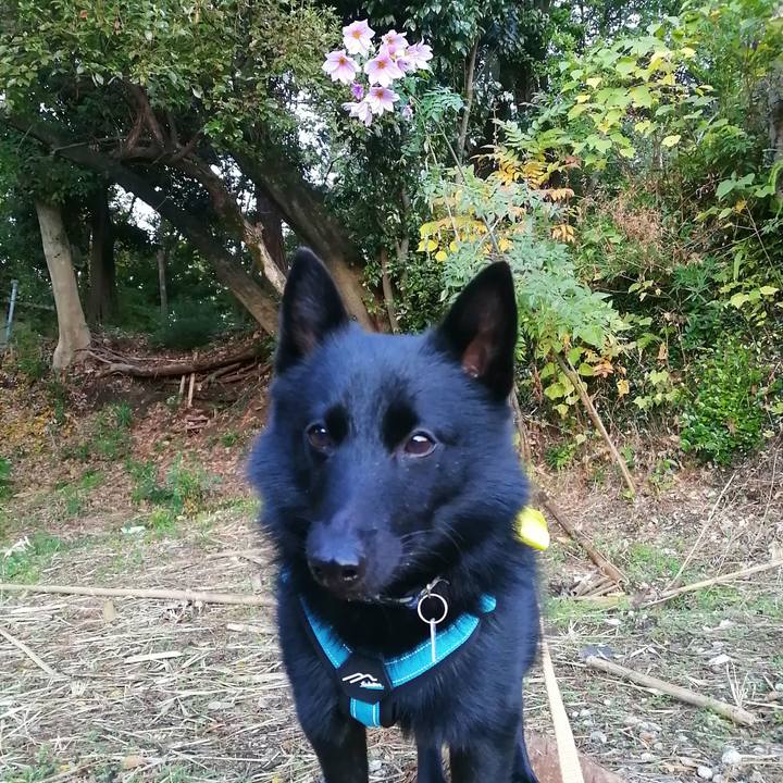 9bb0123e 4098 4614 a2e7 44482c27b241 1637704157911