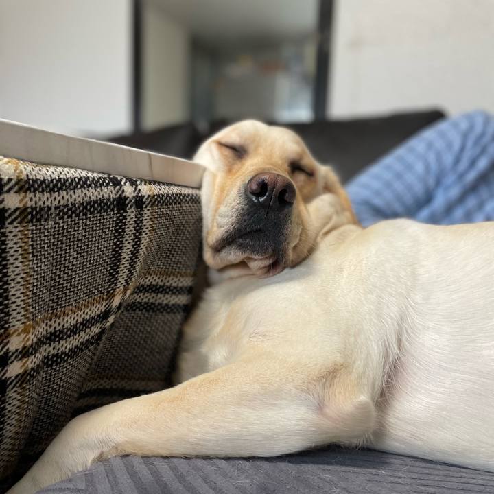 9bb04d39 1a2e 47db 807e f32f9eab6ea8 1708692310720