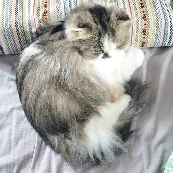 9bb05077 a4c7 4486 a13f 0c503f0652b9 1770770552266