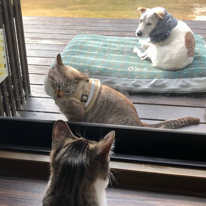 9bb07738 91dd 4d44 b715 b5380163fb02 1648447100779