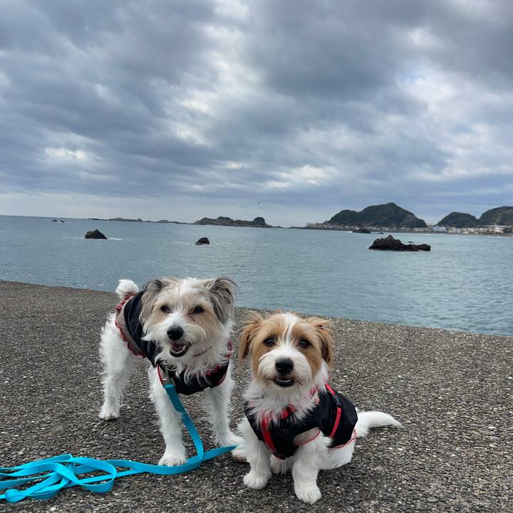 9bb0b973 76d8 4da1 88e7 258165a1389d 1772771013930