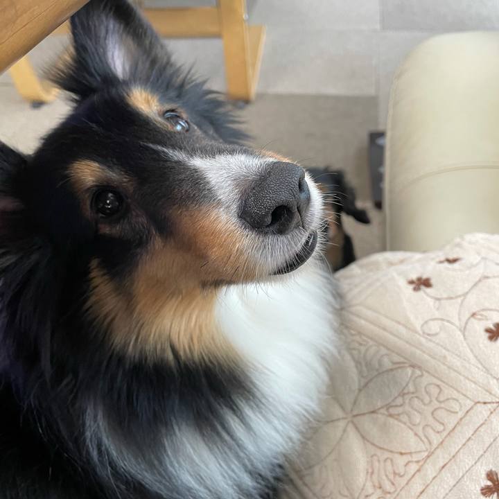 9bb0cdab f482 438a 833f 8f25d3fea73a 1611448976707