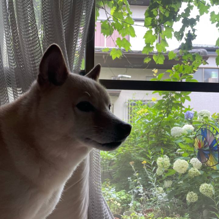 9bb0de1a a464 45c9 b6e0 f3c4e813010e 1687734137635