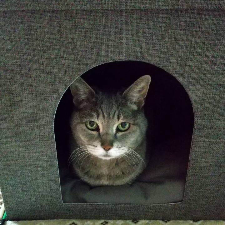 9bb0fbef 842b 4ae4 bb47 8b10e7fc4785 1679141099862