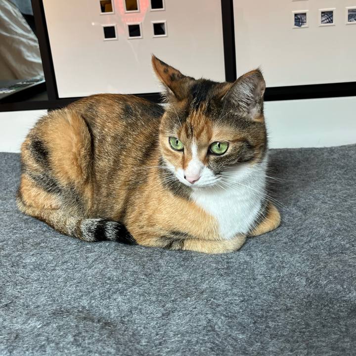 9bb1013a 24e2 4620 a1c3 f2204fb2e4bd 1665223342511