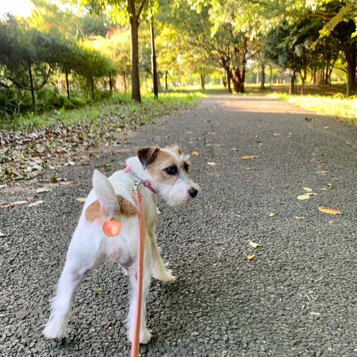 9bb1382a 9dbc 446a af70 1e4bf4b13813 1629419603904