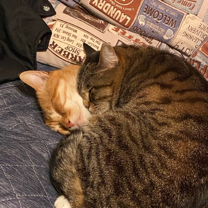 9bb148dc 8b02 44dd 8564 d7aed73523bc 1587041075129