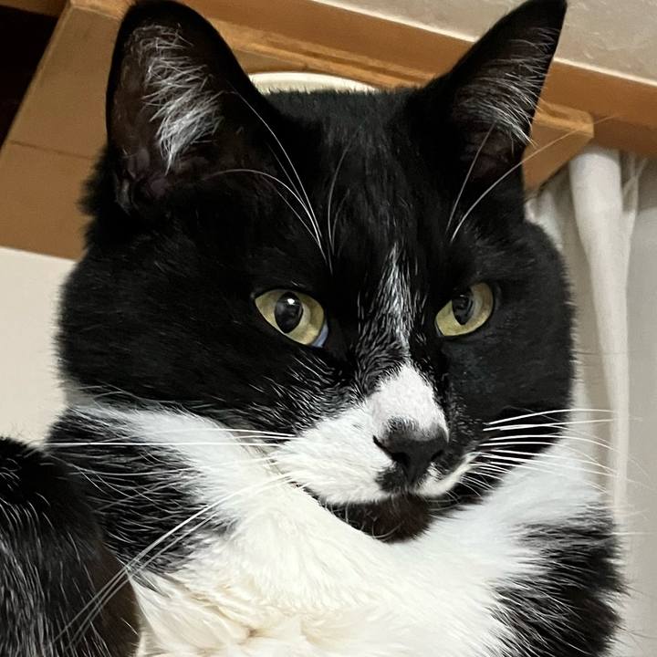 9bb16412 6c69 4d2b 9608 c393fa619413 1685166979061