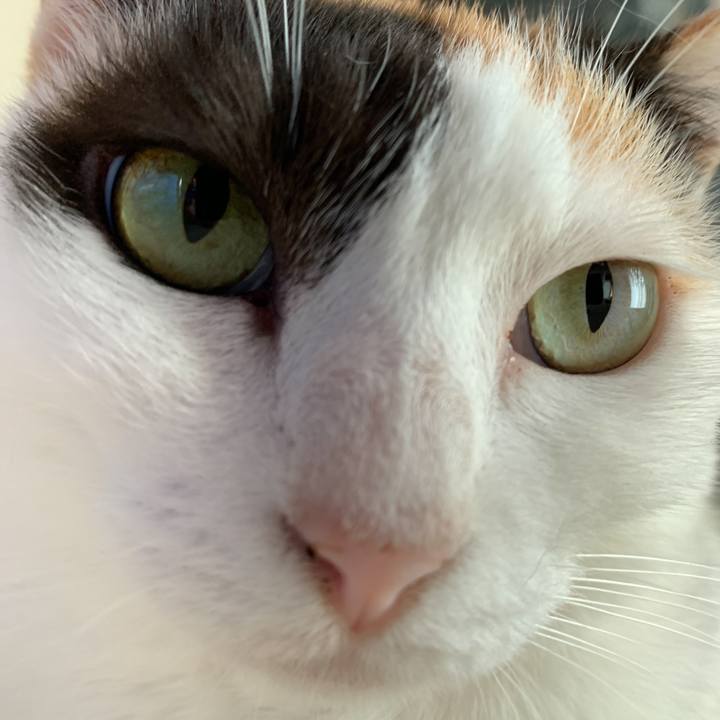 9bb1844e 36ec 41b8 b569 827b9f03878f 1571100556229