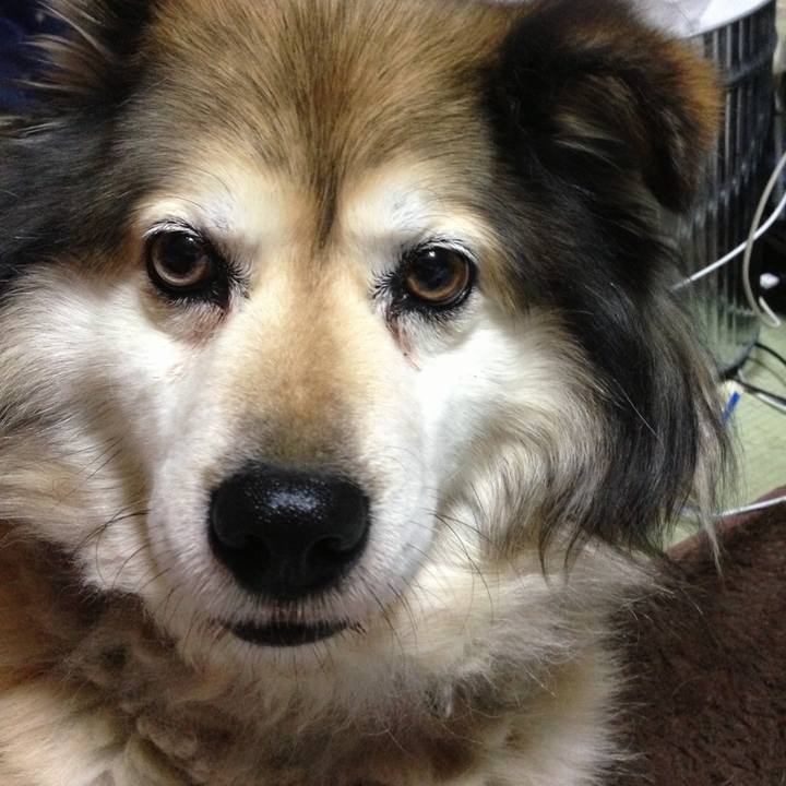 9bb1a0f3 887b 4a39 bbed 9e490013be00 1651082305695