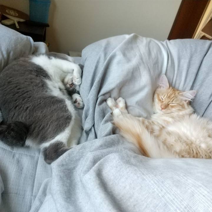 9bb1cff3 9335 4072 b8a1 0d69e02651b5 1618706741609