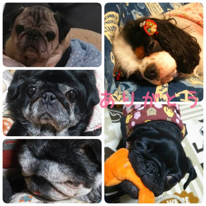 9bb1ee3e c3ca 4274 a1ce 40a314ffde30 1514732246025