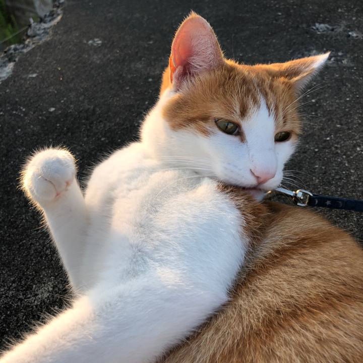 9bb1ffe2 fe3f 41f3 8de6 19ba19ddcb67 1562755363682