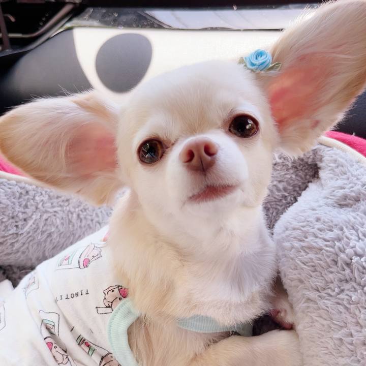 9bb21fe5 a366 4ba7 a787 bbfccbb41252 1685852087306