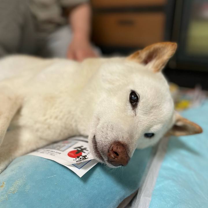 9bb23007 ecbe 4ef4 a924 4a716584baa5 1650818226578