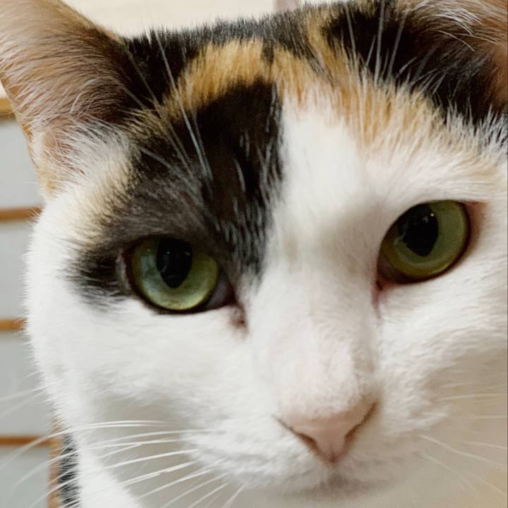 9bb24fd8 ec59 433e 8fef fa7bb69e2df6 1553910107286