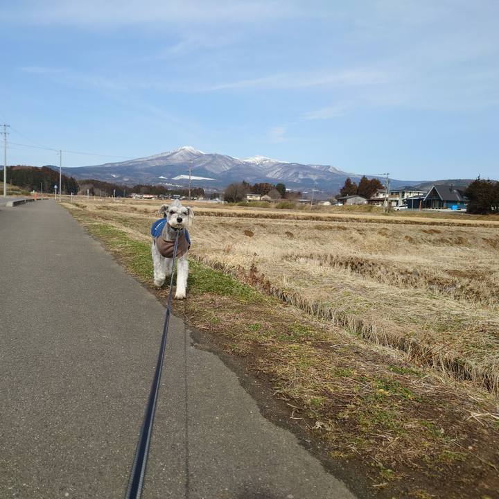 9bb28bf9 791c 4112 8164 a76a32e7c299 1772762375989